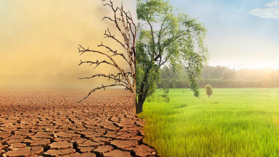 Rising Climate Crisis How Global Warming Is Impacting Economies